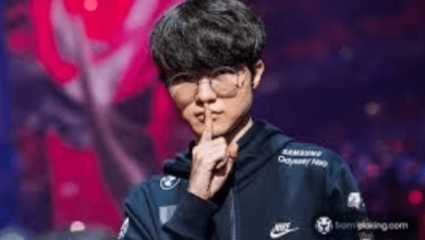 Faker Net Worth