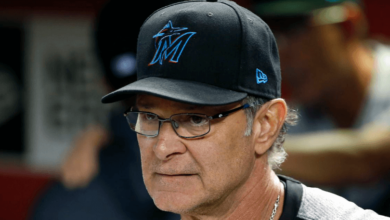 Don Mattingly Net Worth