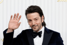 Diego Luna Net Worth