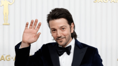 Diego Luna Net Worth