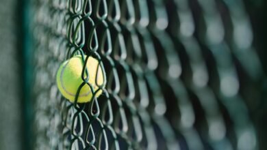 mesh based gaming exploration site