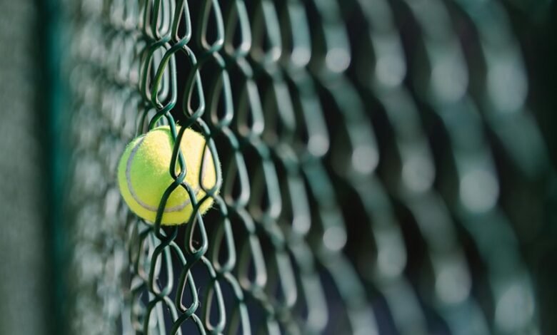 mesh based gaming exploration site